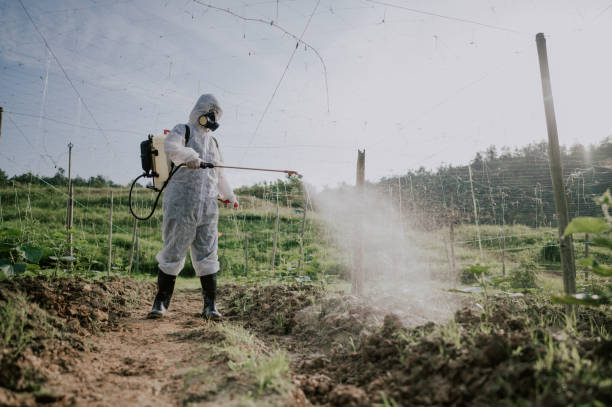 Best Best Pest Control Companies  in Hillsboro, WI