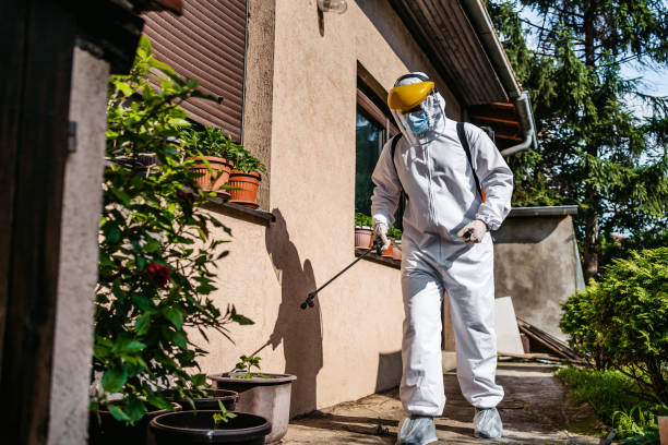 Best Rat Extermination Near Me  in Hillsboro, WI