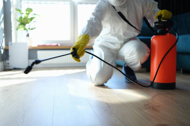 Reliable Hillsboro, WI Pest Control Solutions