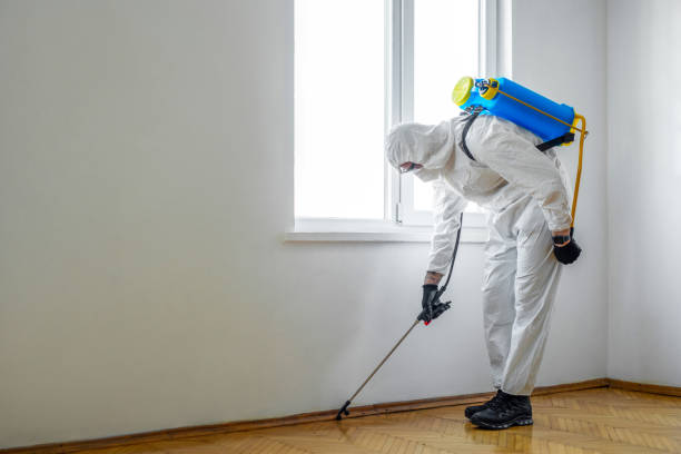 Flea Control Services in Hillsboro, WI