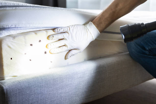 Best Wildlife Control Services  in Hillsboro, WI