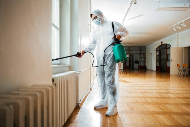 Best Residential Pest Control  in Hillsboro, WI